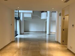 The Colonnade (D10), Condominium #408342971